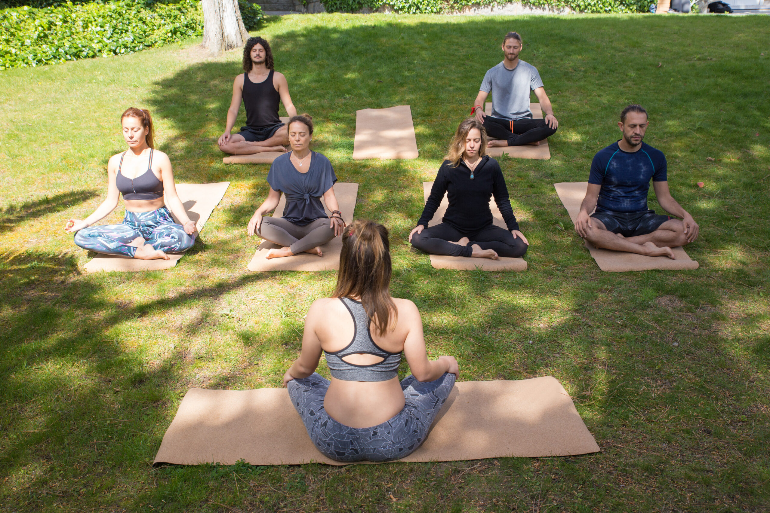 Home 5 Yoga & Meditation Classes